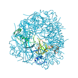 BU of 2v09 by Molmil