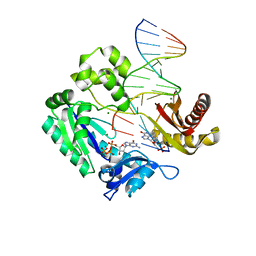 AU of 2v4s by Molmil