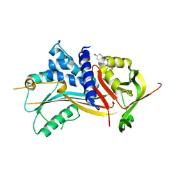 AU of 2v6d by Molmil