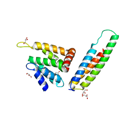 BU of 2v8s by Molmil