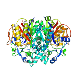 BU of 2vba by Molmil