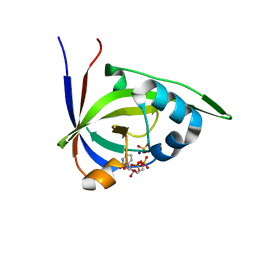 BU of 2vbt by Molmil