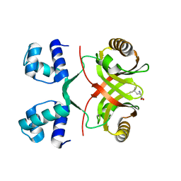 BU of 2vc0 by Molmil