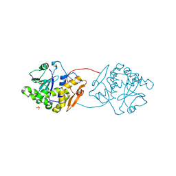 BU of 2vc4 by Molmil