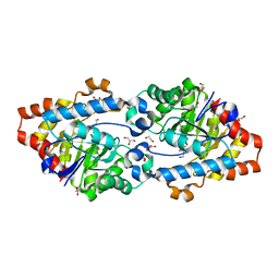 BU of 2vc5 by Molmil