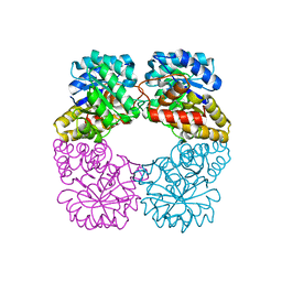 BU of 2vc6 by Molmil