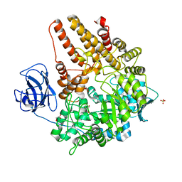 BU of 2vcc by Molmil