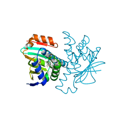 BU of 2vci by Molmil