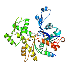 BU of 2vcp by Molmil