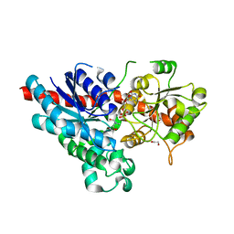 AU of 2vcu by Molmil