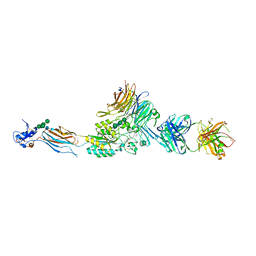 BU of 2vdm by Molmil