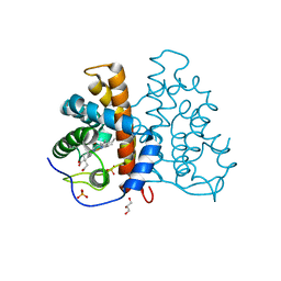 BU of 2veb by Molmil