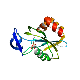 AU of 2veh by Molmil