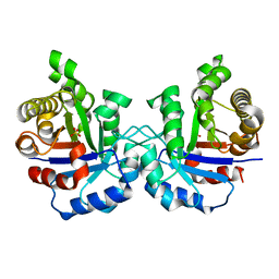 BU of 2vfd by Molmil