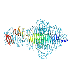 BU of 2vfo by Molmil