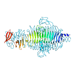 BU of 2vfp by Molmil