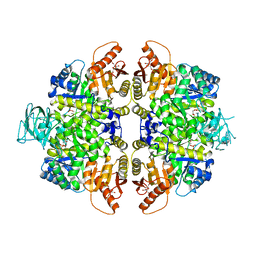 BU of 2vgi by Molmil