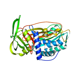 BU of 2vh4 by Molmil