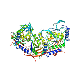 BU of 2vhc by Molmil