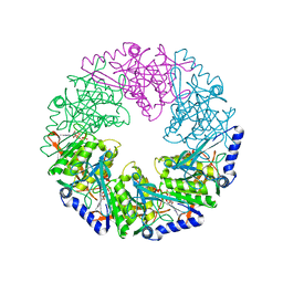 BU of 2vht by Molmil