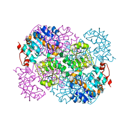 BU of 2vhv by Molmil