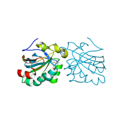 BU of 2vl2 by Molmil