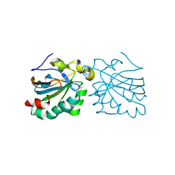 BU of 2vl3 by Molmil