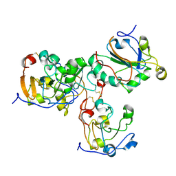 BU of 2vl9 by Molmil