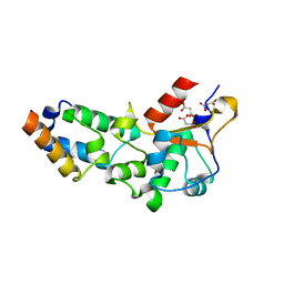 BU of 2vlp by Molmil