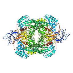 BU of 2vm8 by Molmil