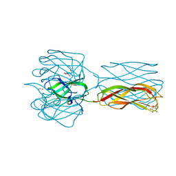 BU of 2vmd by Molmil