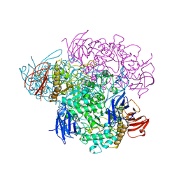 BU of 2vnc by Molmil