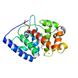 BU of 2vo2 by Molmil