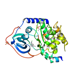 BU of 2vo6 by Molmil