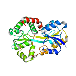 BU of 2vp1 by Molmil