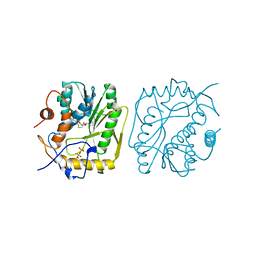 BU of 2vp3 by Molmil