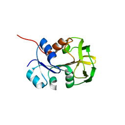 BU of 2vpi by Molmil