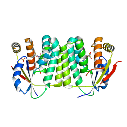 BU of 2vpp by Molmil