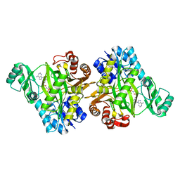 BU of 2vpq by Molmil