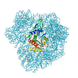 AU of 2vpu by Molmil