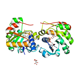 BU of 2vq3 by Molmil