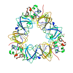 BU of 2vqa by Molmil