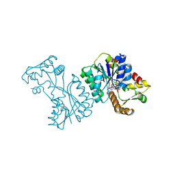 BU of 2vrb by Molmil