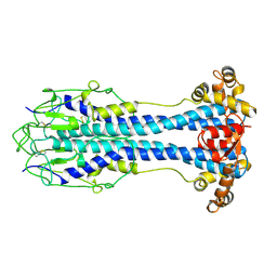 BU of 2vsg by Molmil