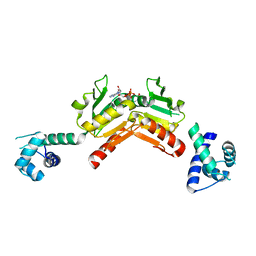 BU of 2vt2 by Molmil