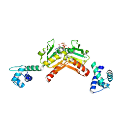 BU of 2vt3 by Molmil