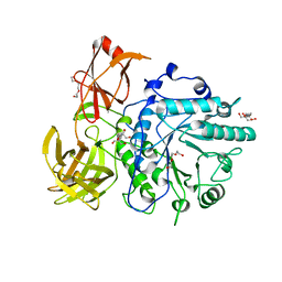 BU of 2vtf by Molmil