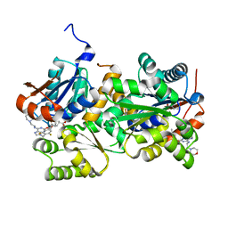 BU of 2vvt by Molmil