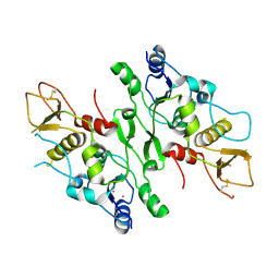 BU of 2vxb by Molmil