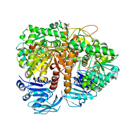 AU of 2vxo by Molmil